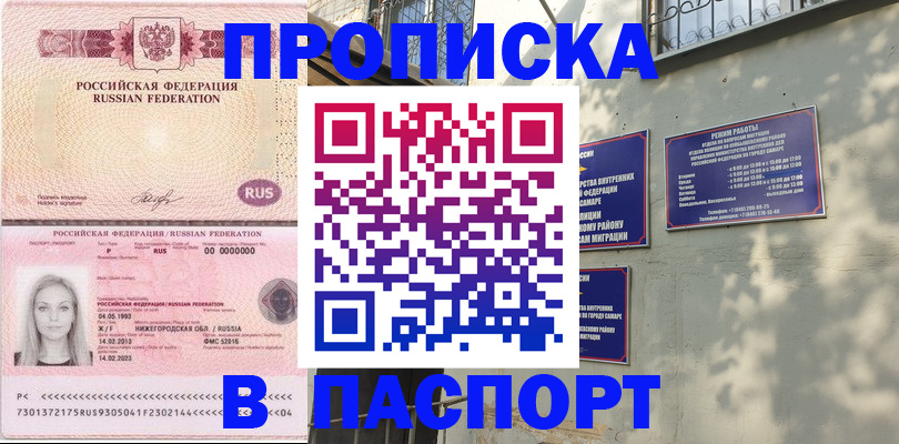 прописка в Коле
